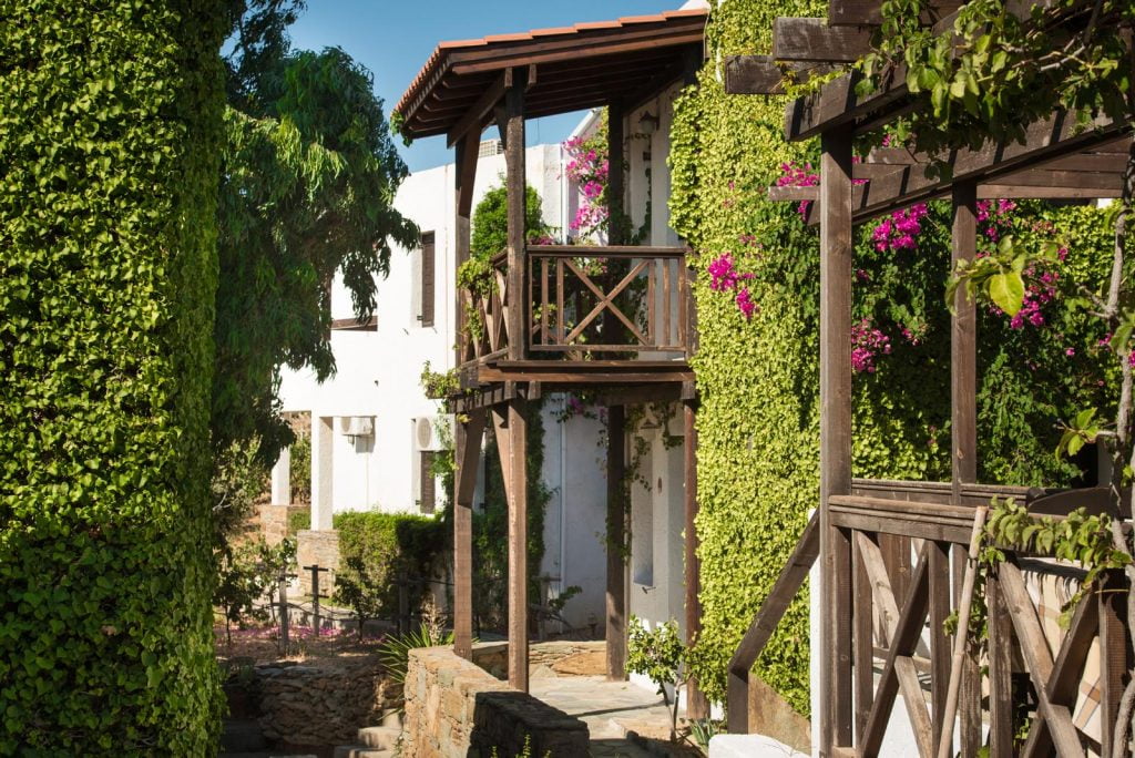 peacefulness cretan hospitality ambelos apartments agia pelagia twin studios crete greece nature